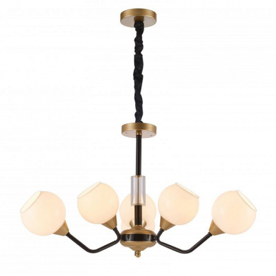 Подвесная люстра Favourite Germen 2550-6P. Фото