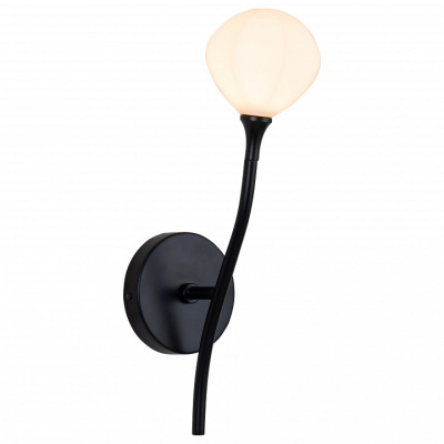 Бра Favourite Suri 2688-1W фото Бра Favourite Suri 2688-1W. Фото №2