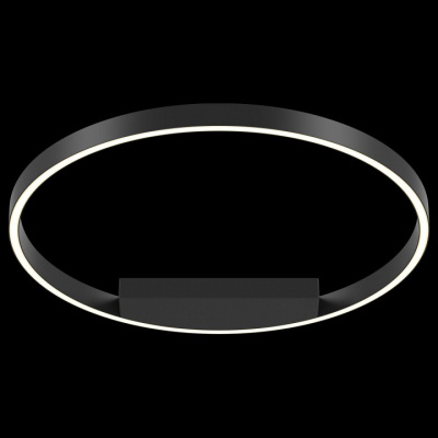 Накладной светильник Maytoni Rim MOD058CL-L35B4K. Фото №2