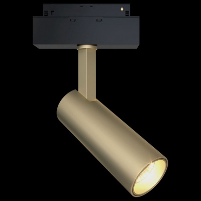 Светильник на штанге Maytoni Focus LED TR019-2-10W4K-MG. Фото №2