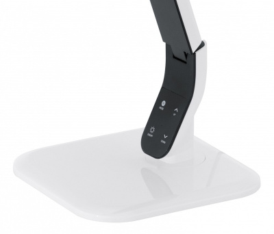 Настольная лампа офисная Eglo Sellano 93901. Фото