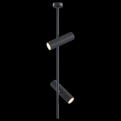 Светильник на штанге Maytoni Elti C021CL-02B. Фото №2